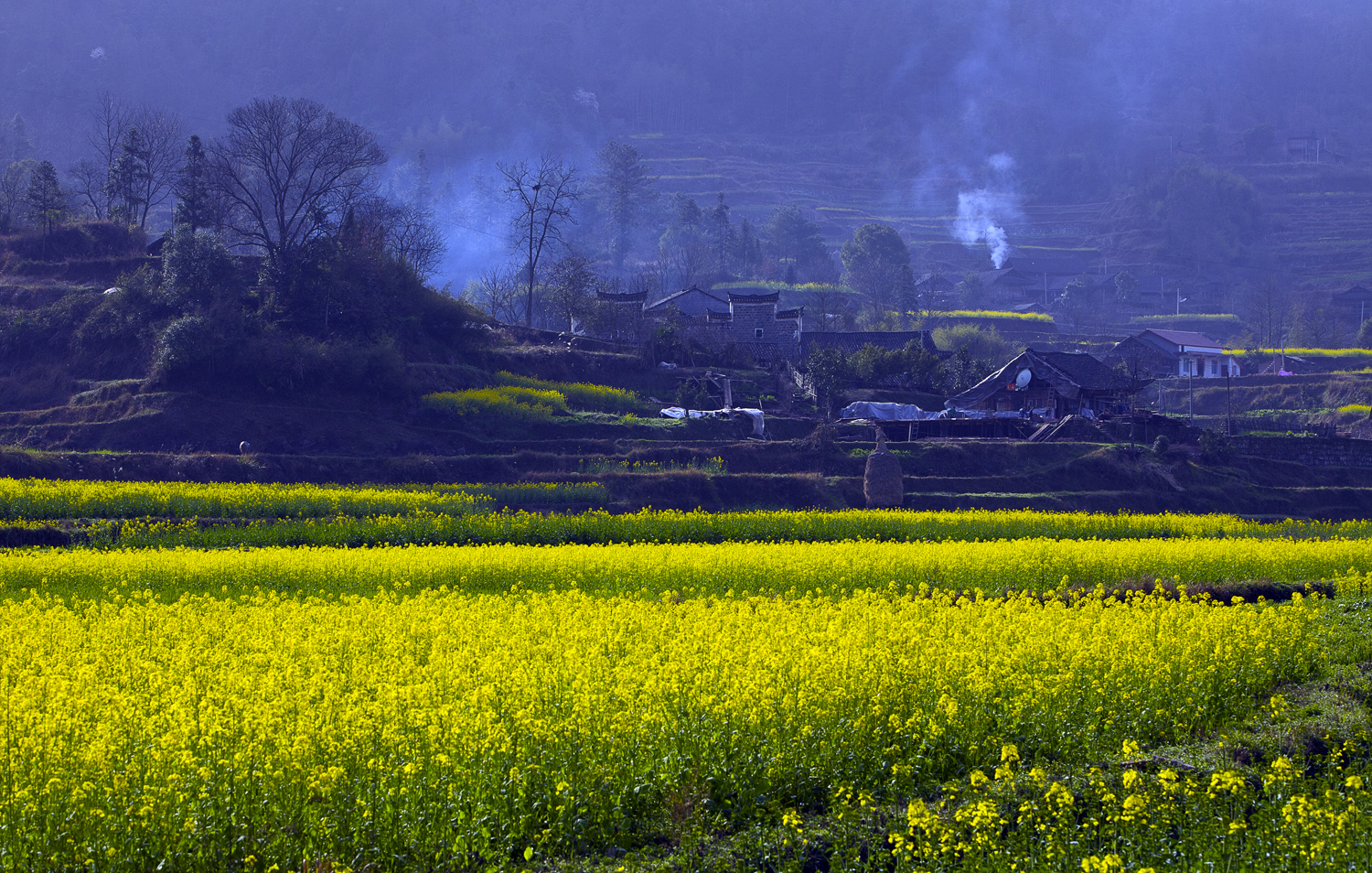 魅力乡村