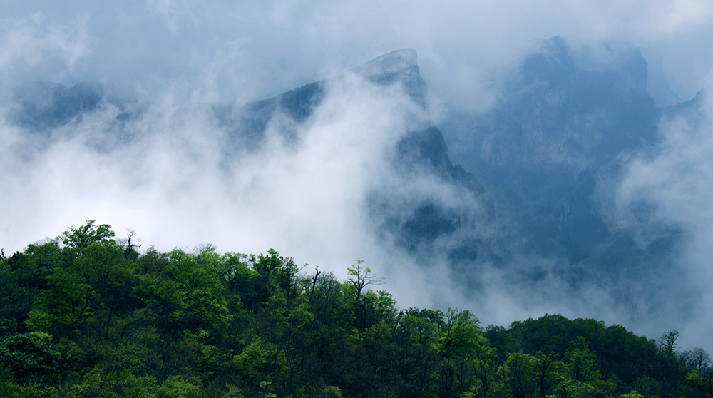 春到天门山3