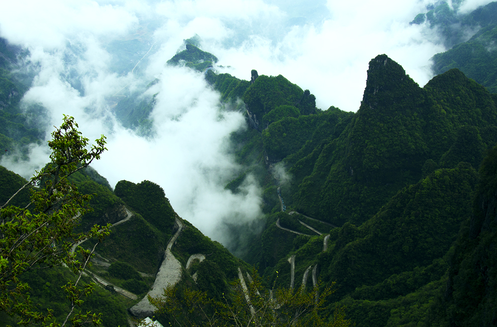 春到天门山4