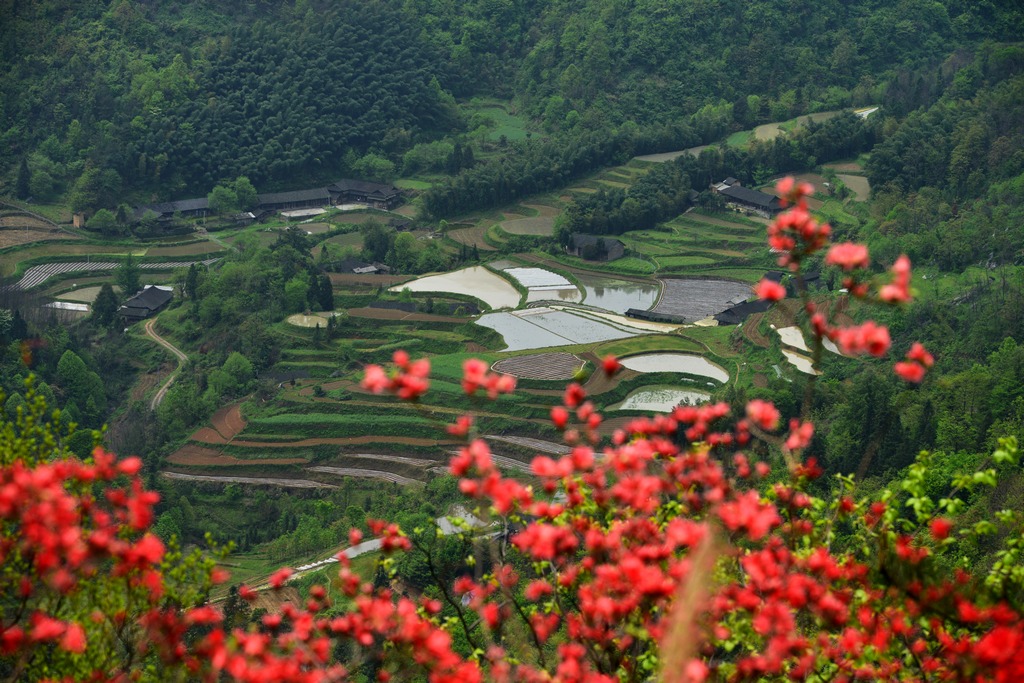 小山村