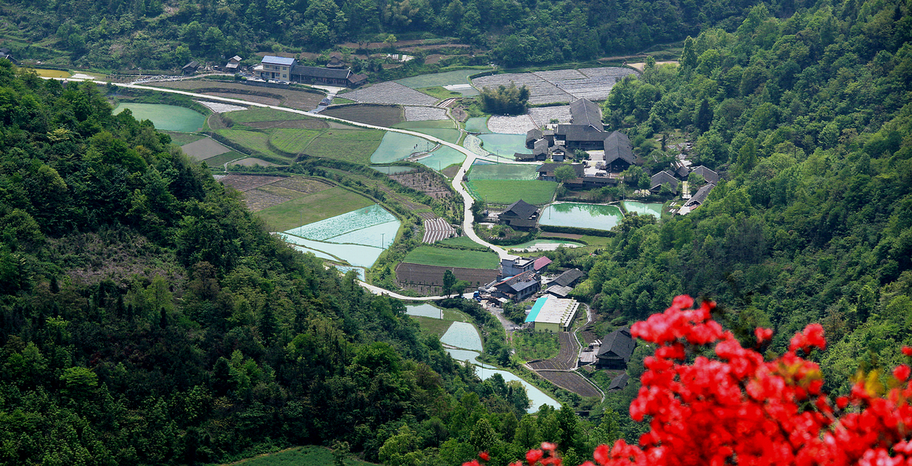 罗峰岭下好风光