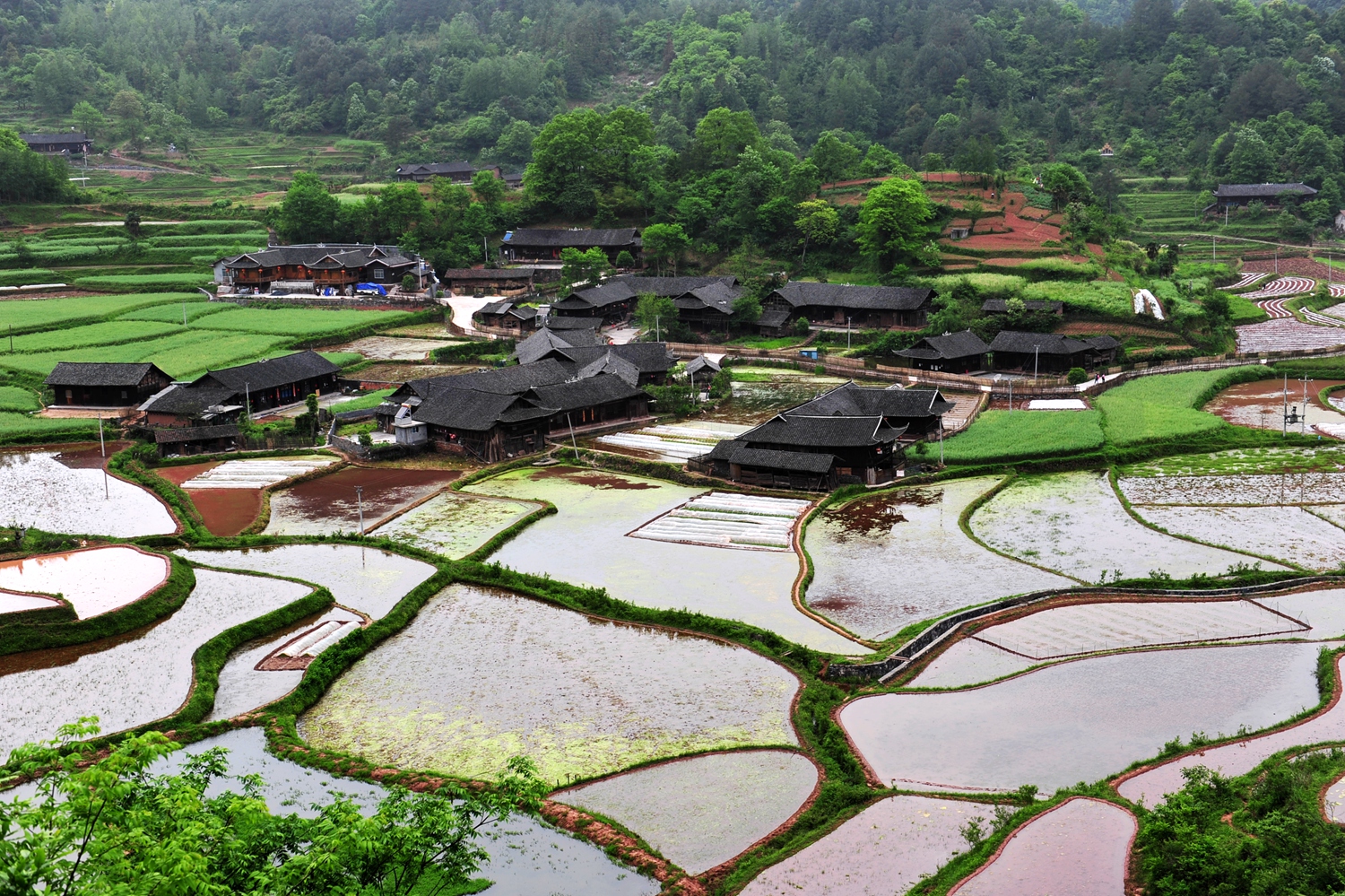 石堰坪风光