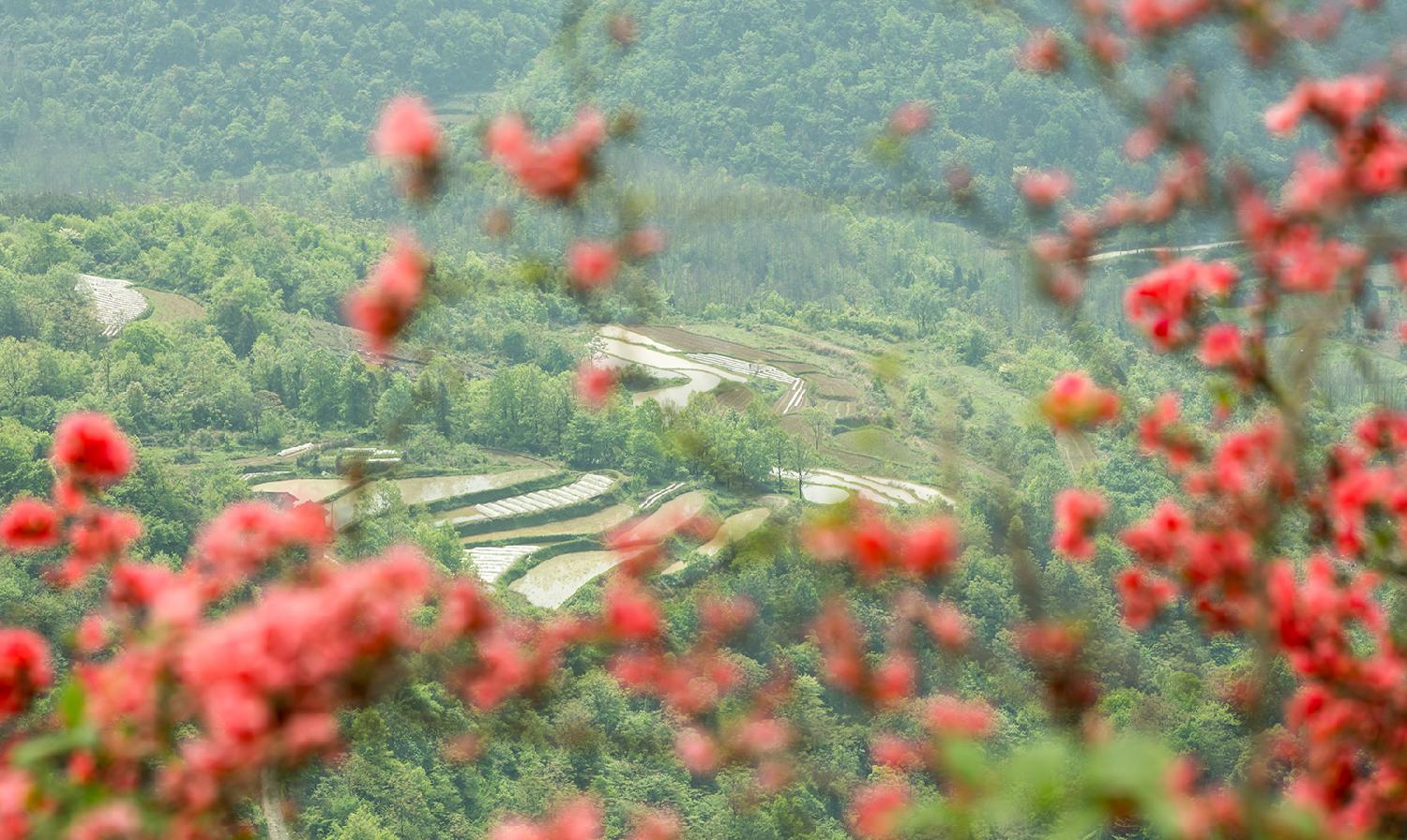 湖田垭采风4