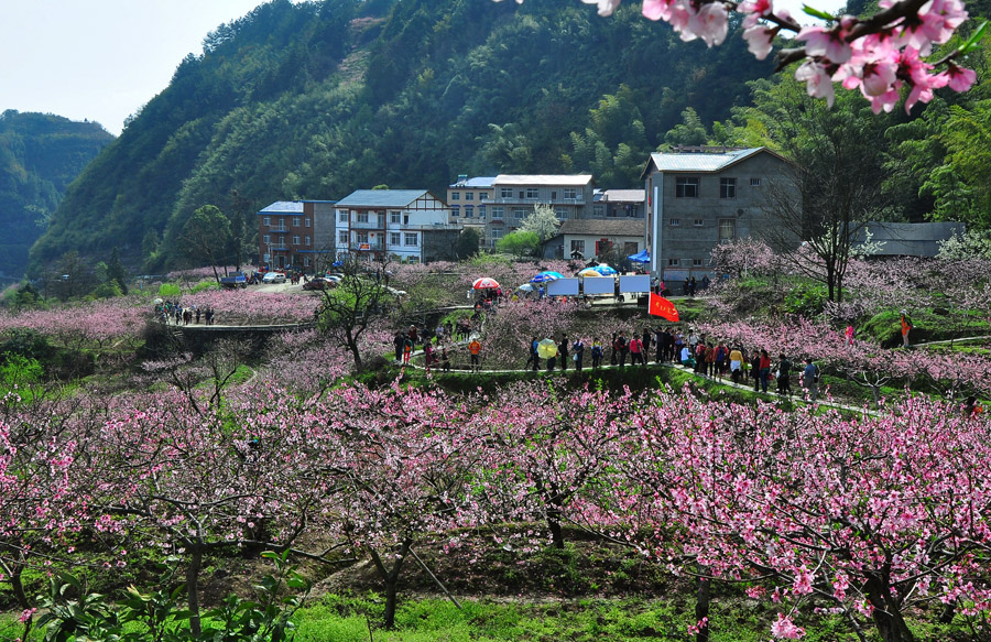 桃花山庄