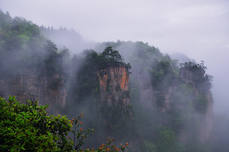 千层岩-2