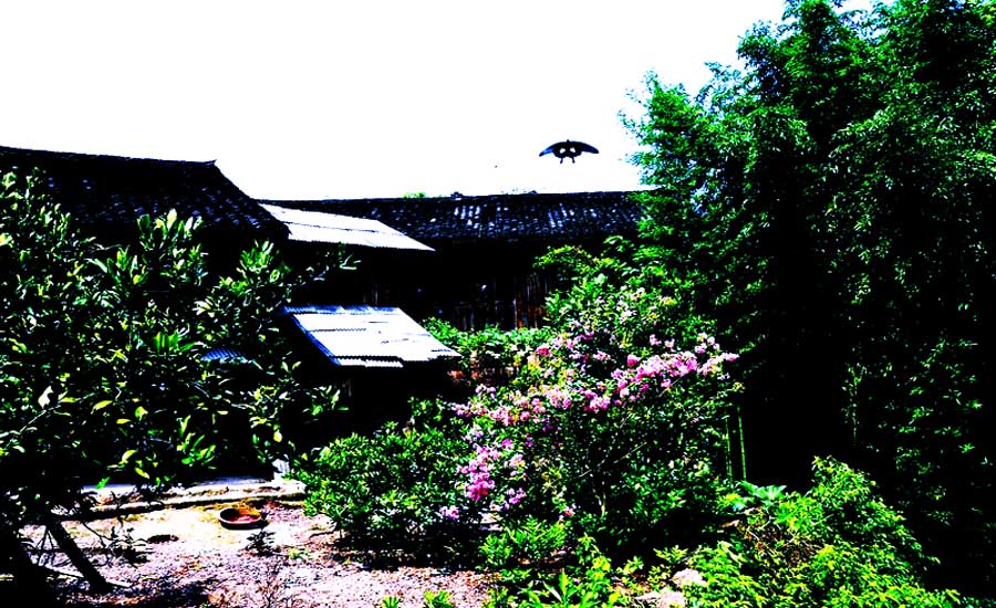 山村人家