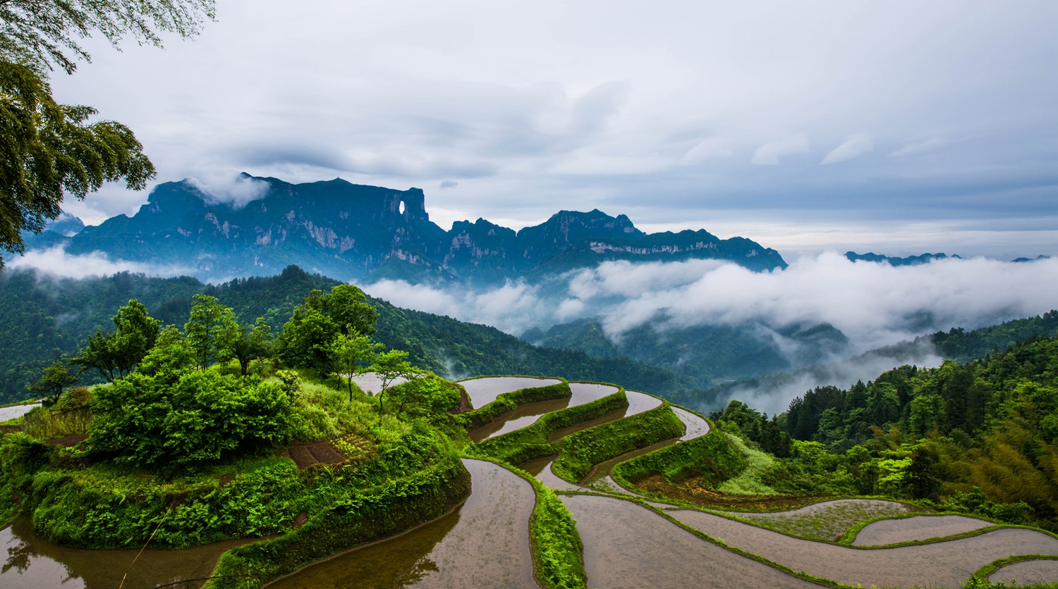 烟幕春雨