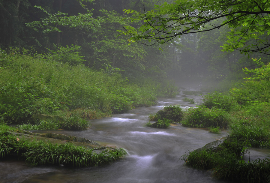 烟雨金鞭溪