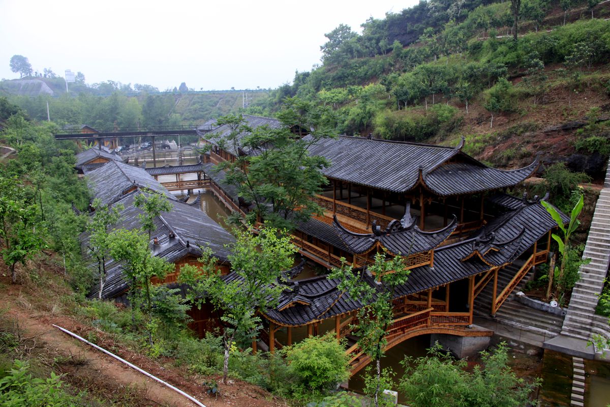 清水湾农家乐3