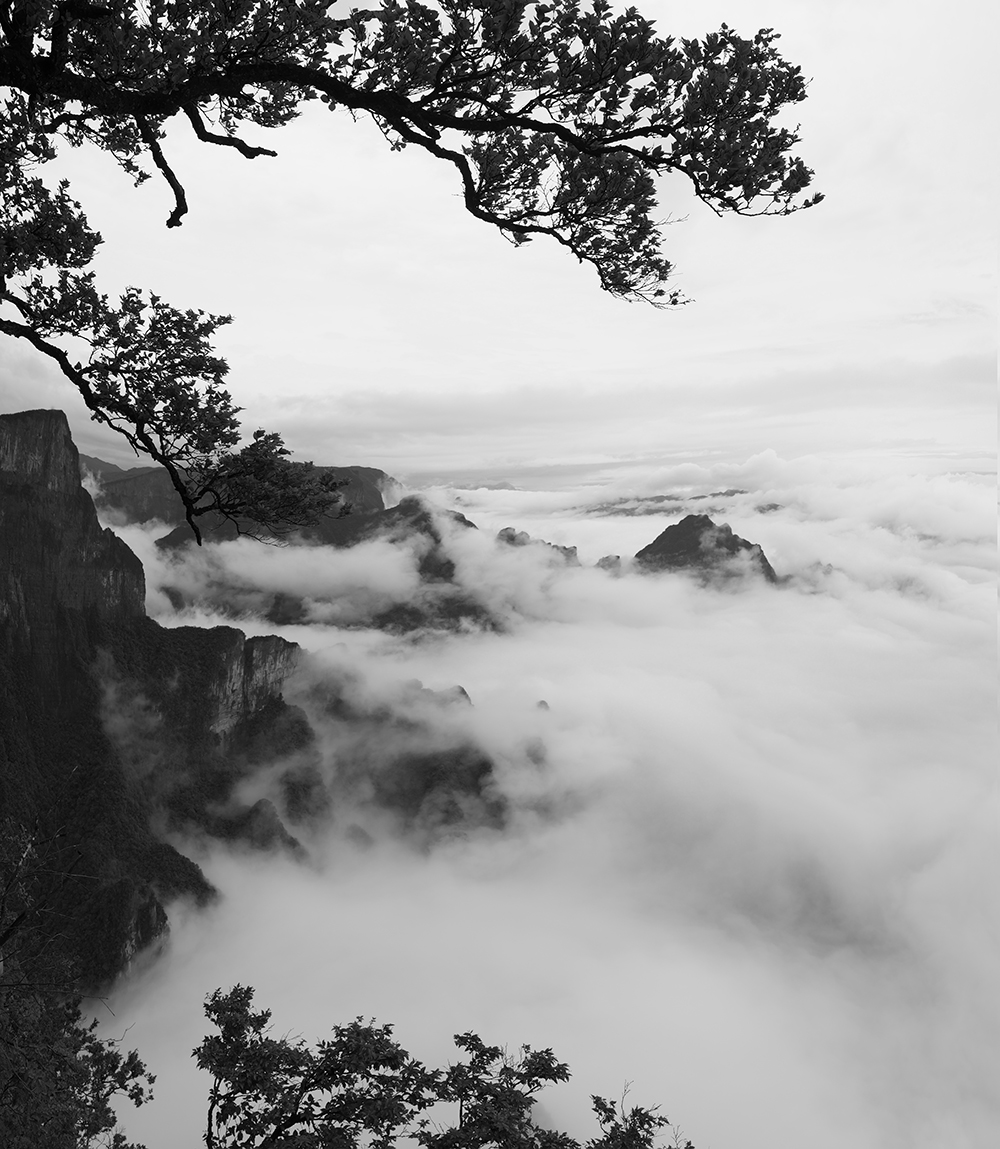 云海拍岸