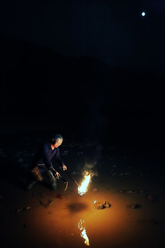 照夜火儿