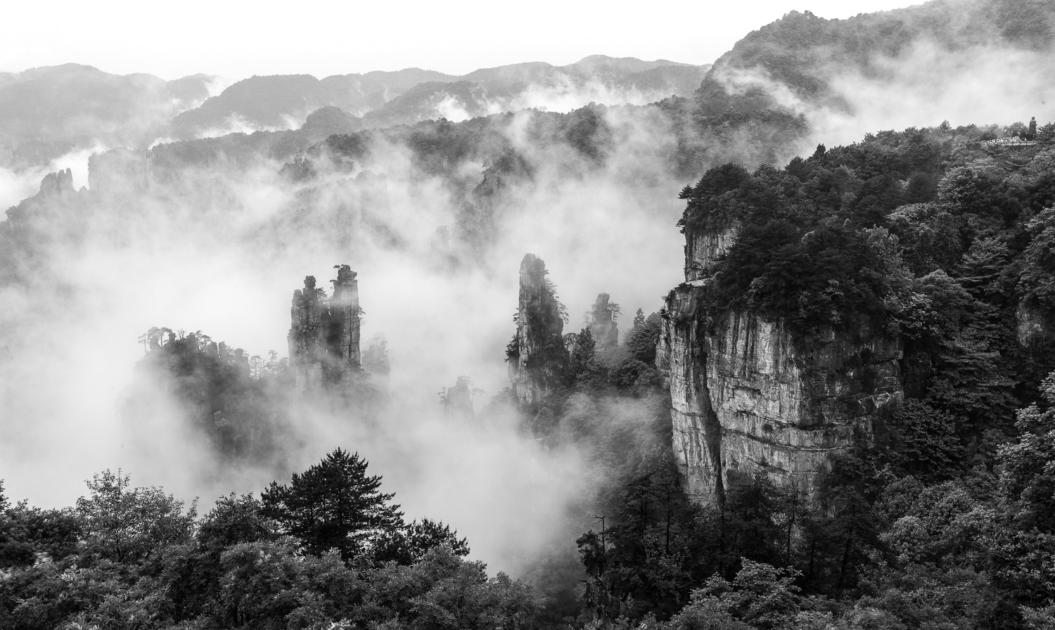 雾漫天子山