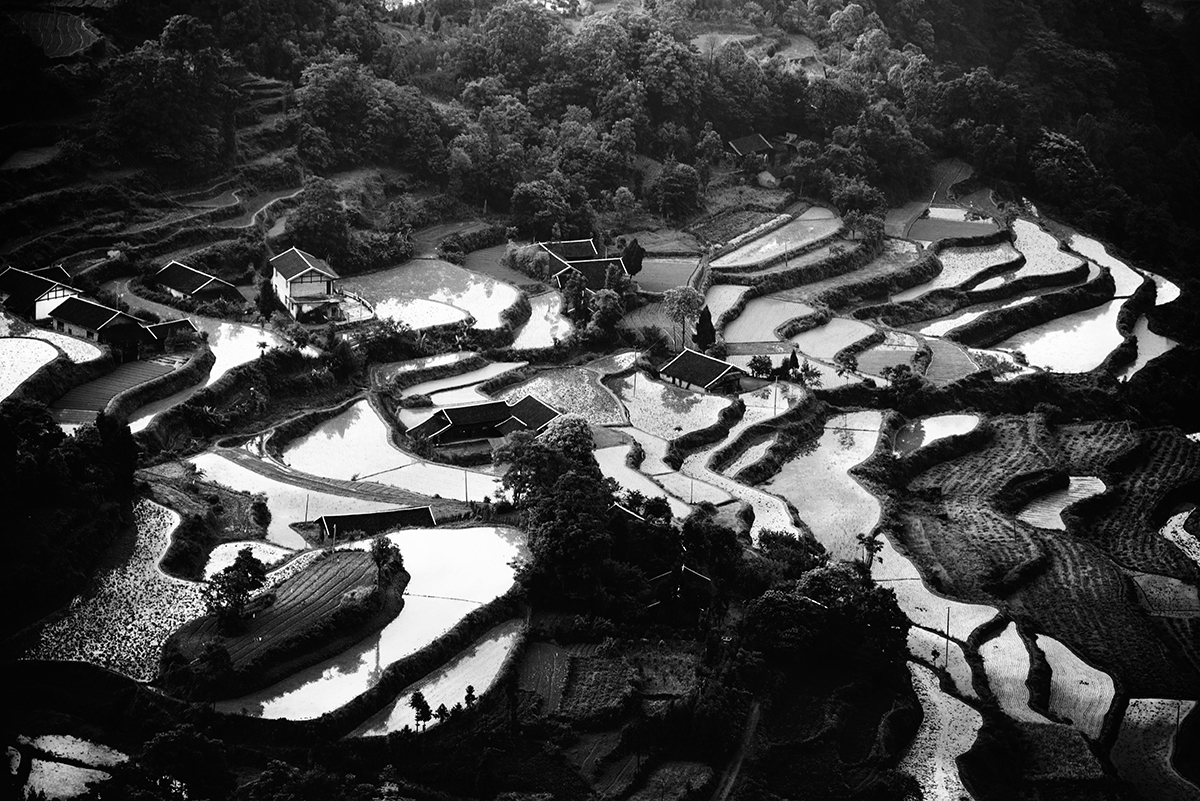 龙凤梯田小景