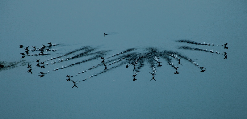 踏浪