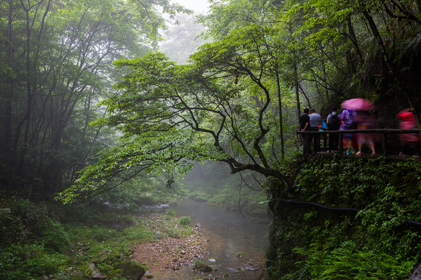 雨游金鞭溪