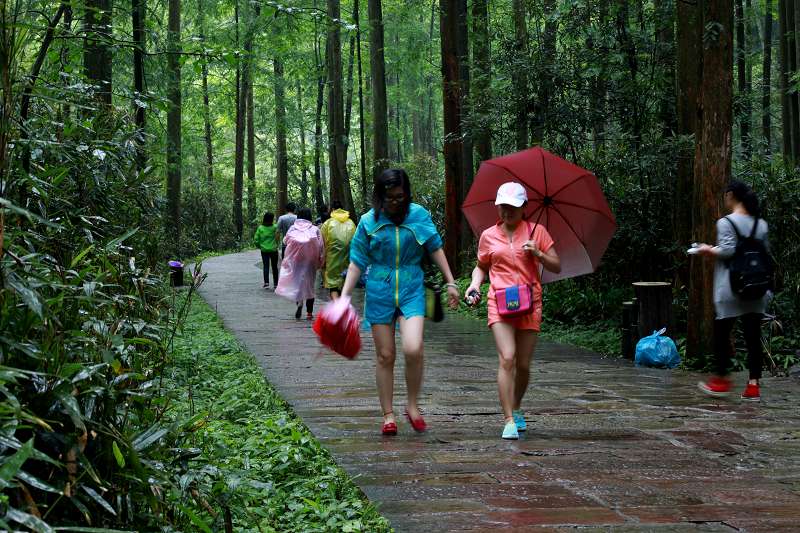 春雨金鞭溪