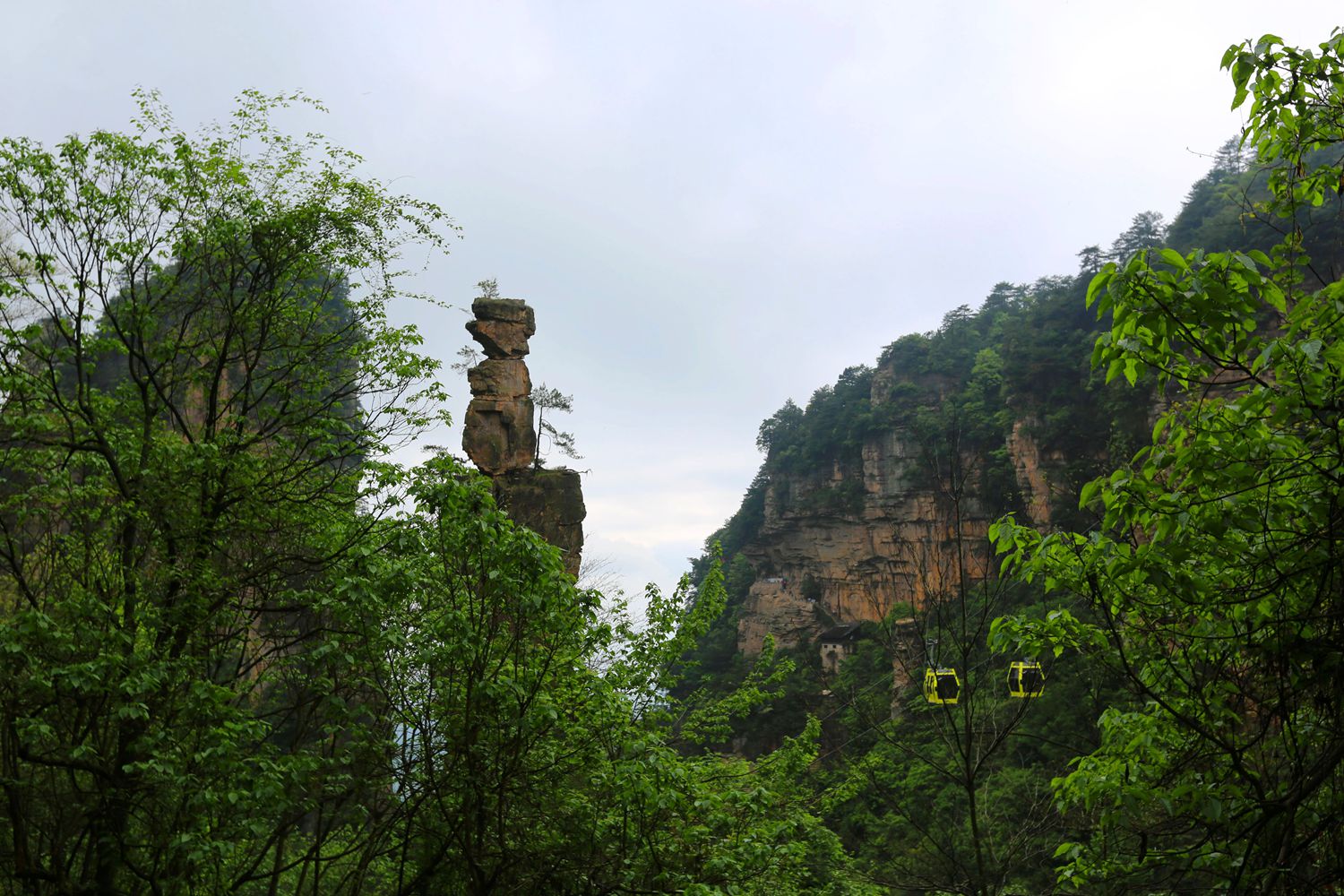 杨家界风光