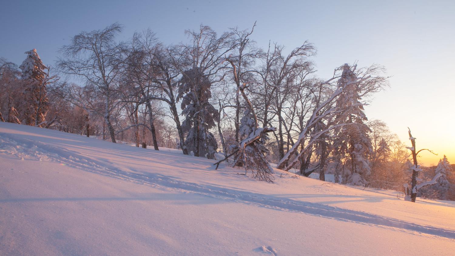 雪乡