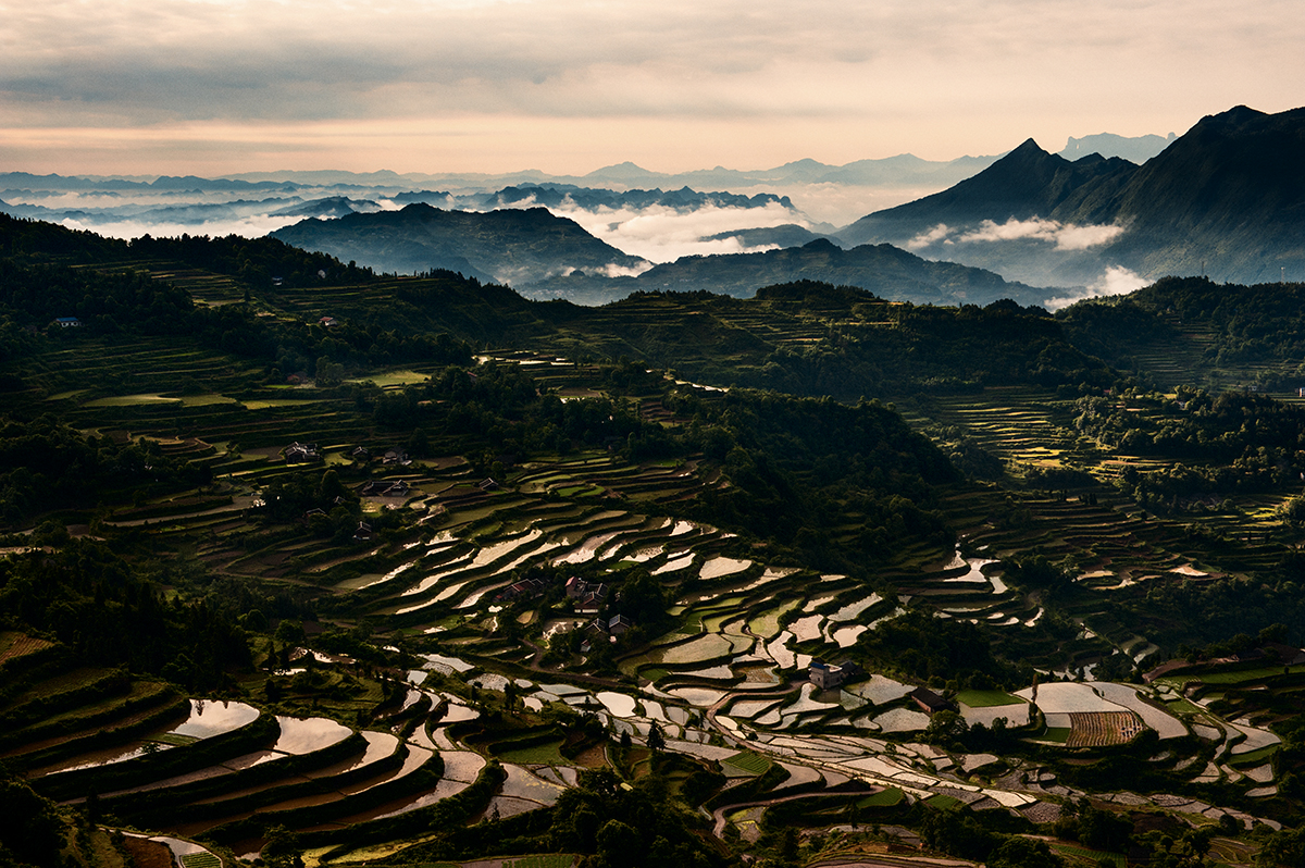 龙凤梯田小景