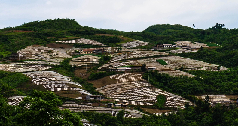 山顶标准化