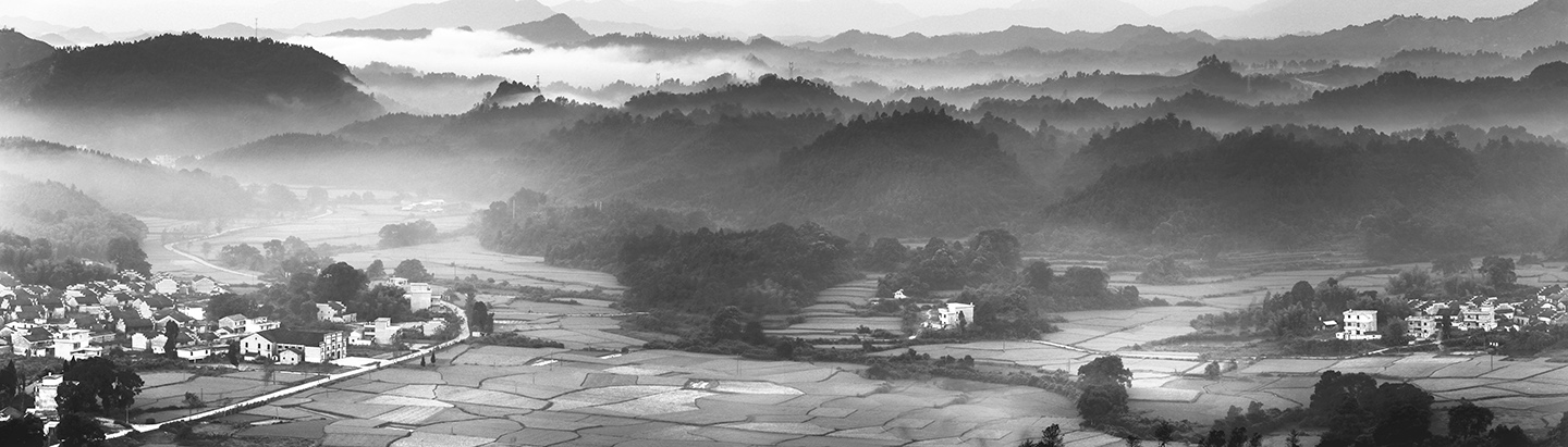 那山那雾