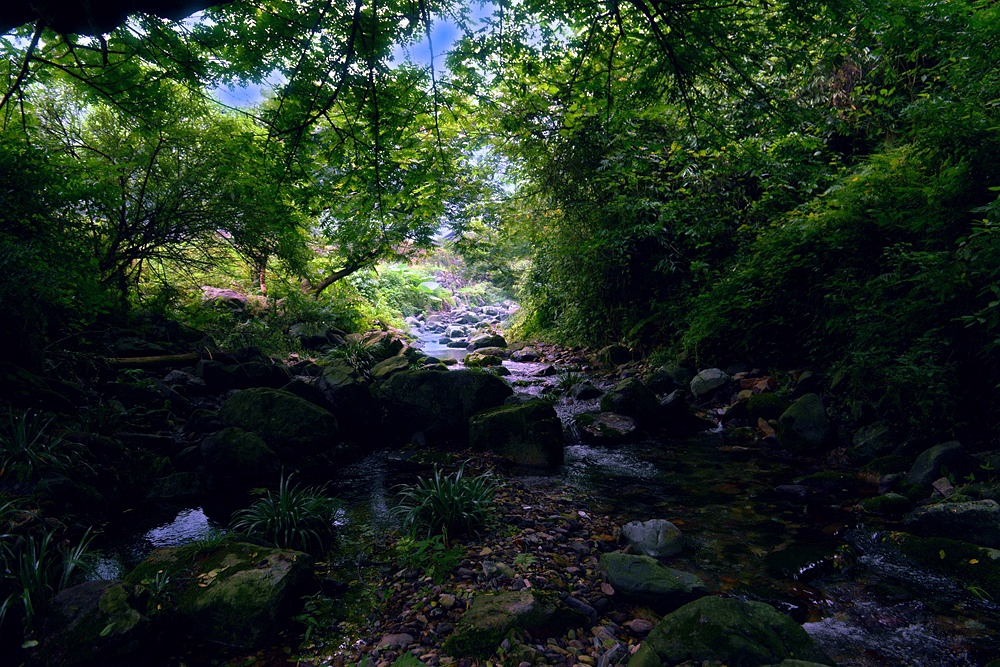 山沟沟(一）