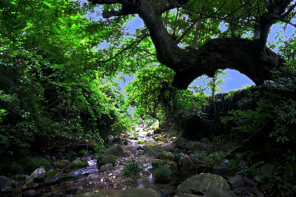 山沟沟（三）