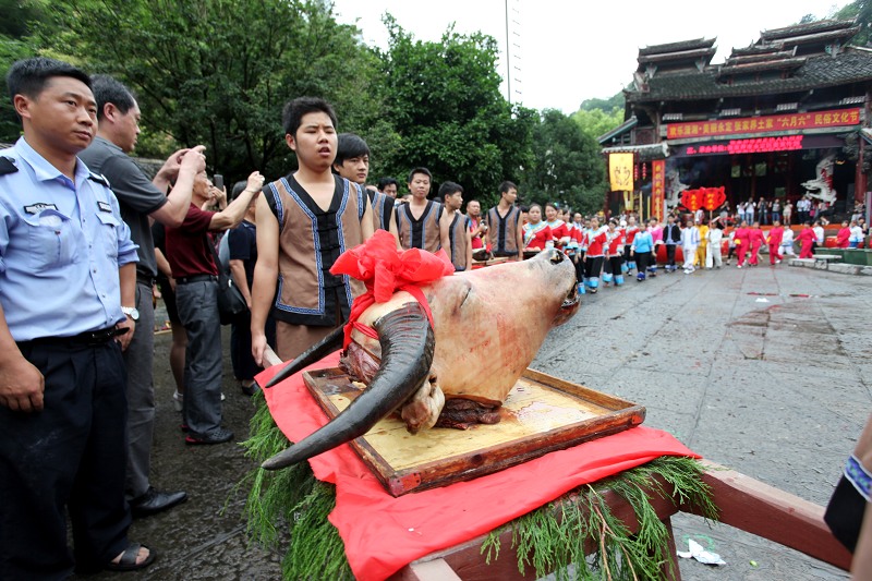 六月六  牛头祭品