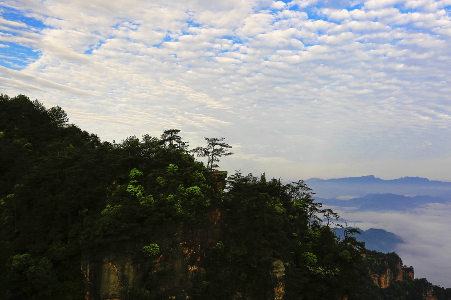 景中景