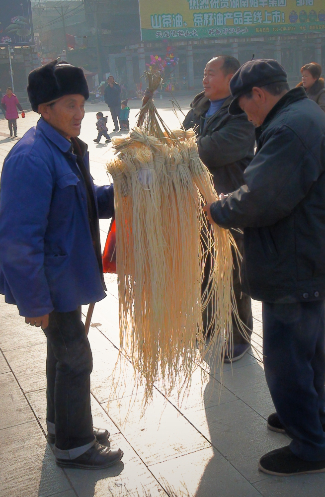 買燈草