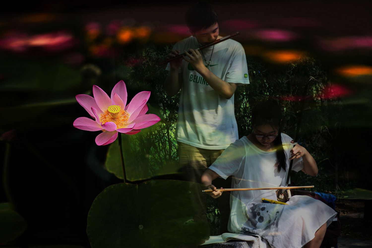 “荷” 弦