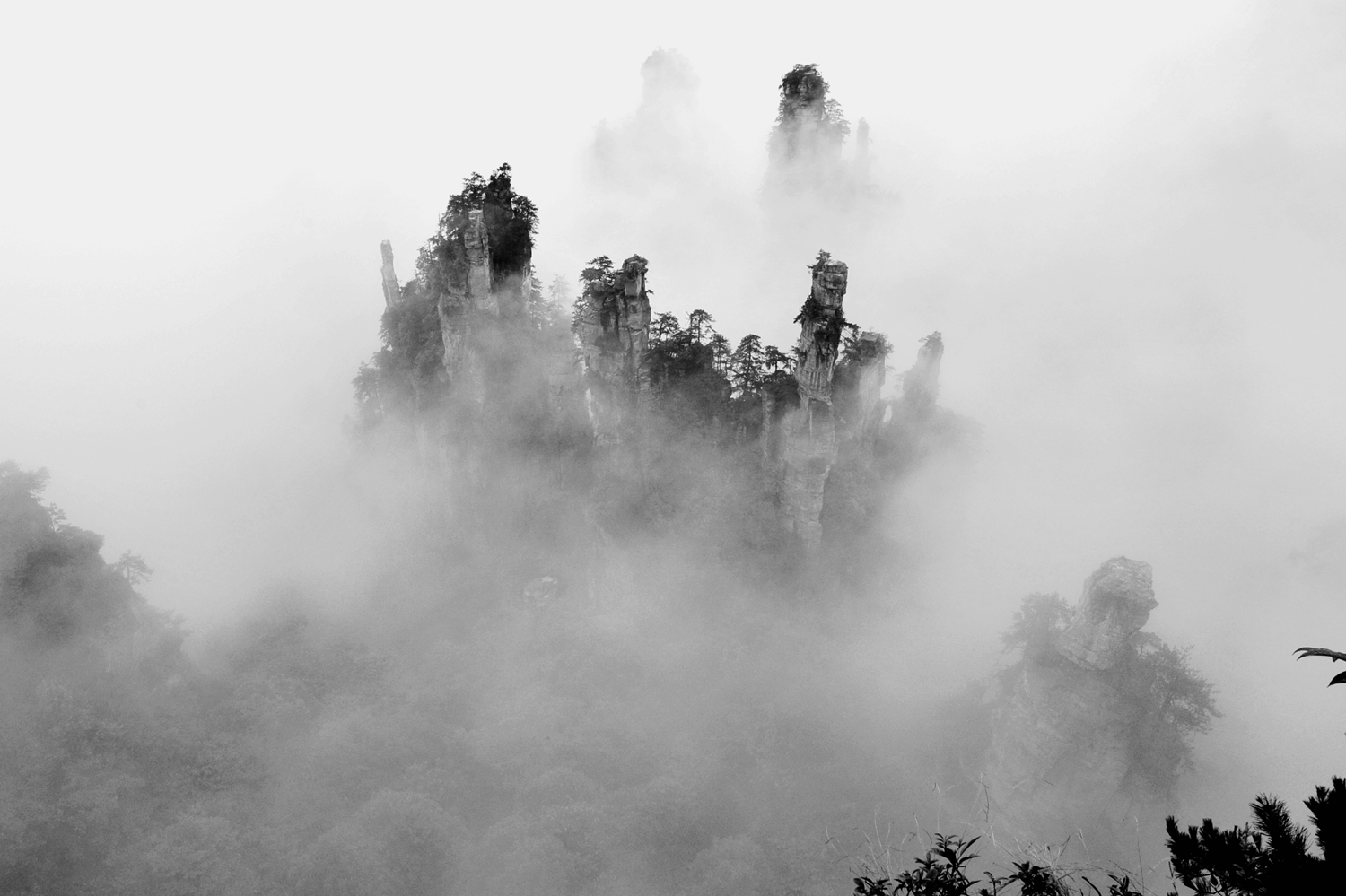 雾漫山更秀