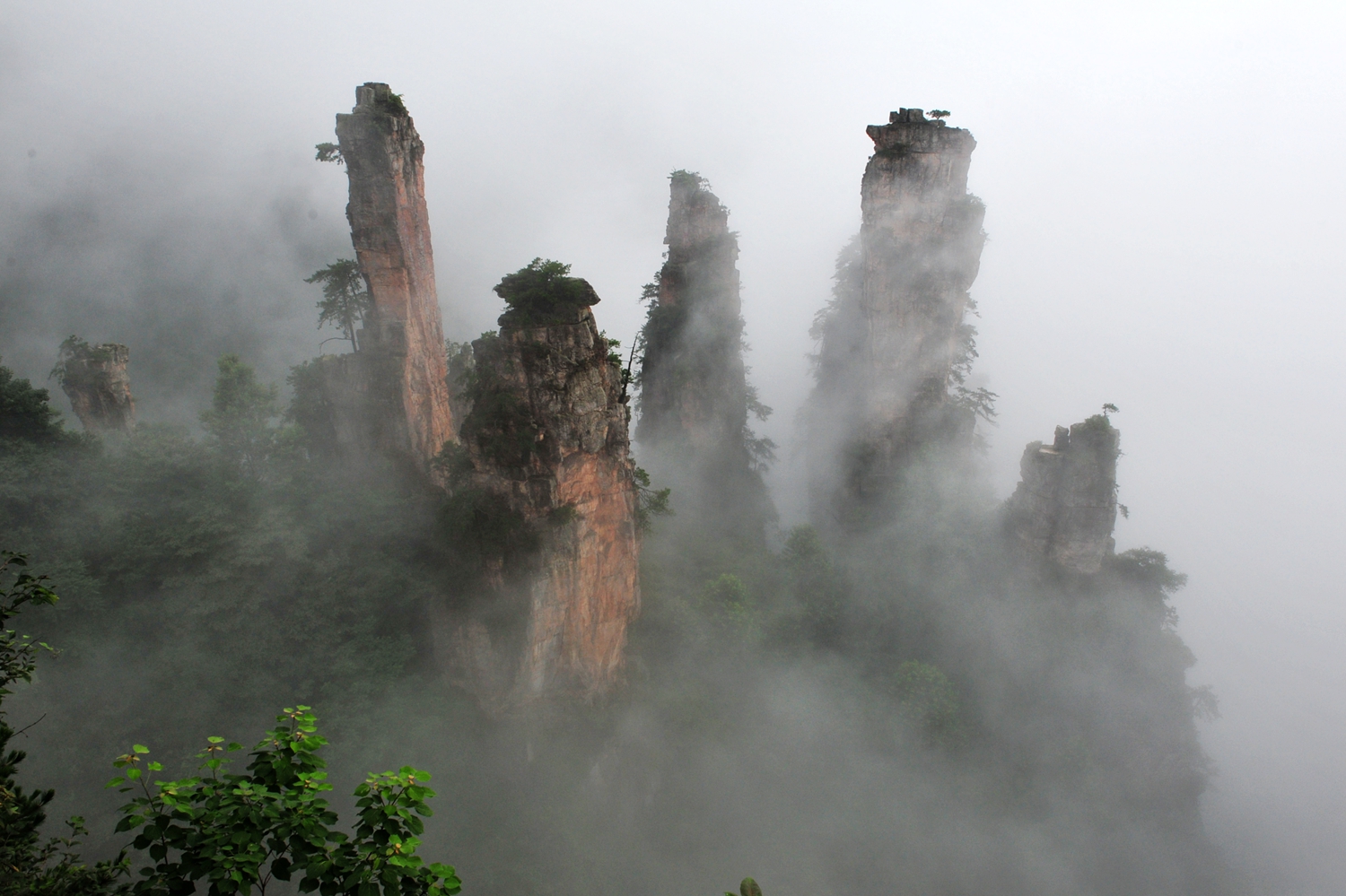 雾漫山更秀2