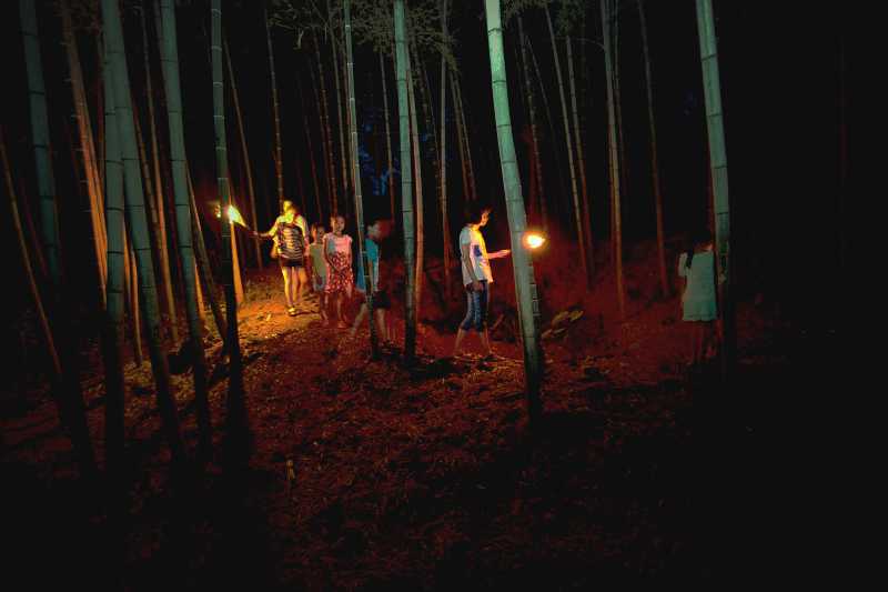 竹林夜火