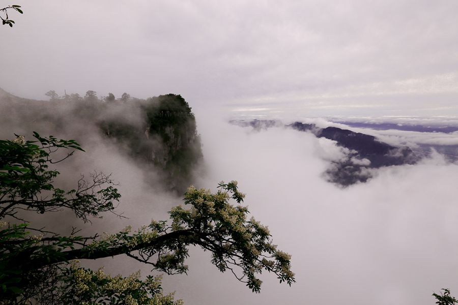 云聚天门山2