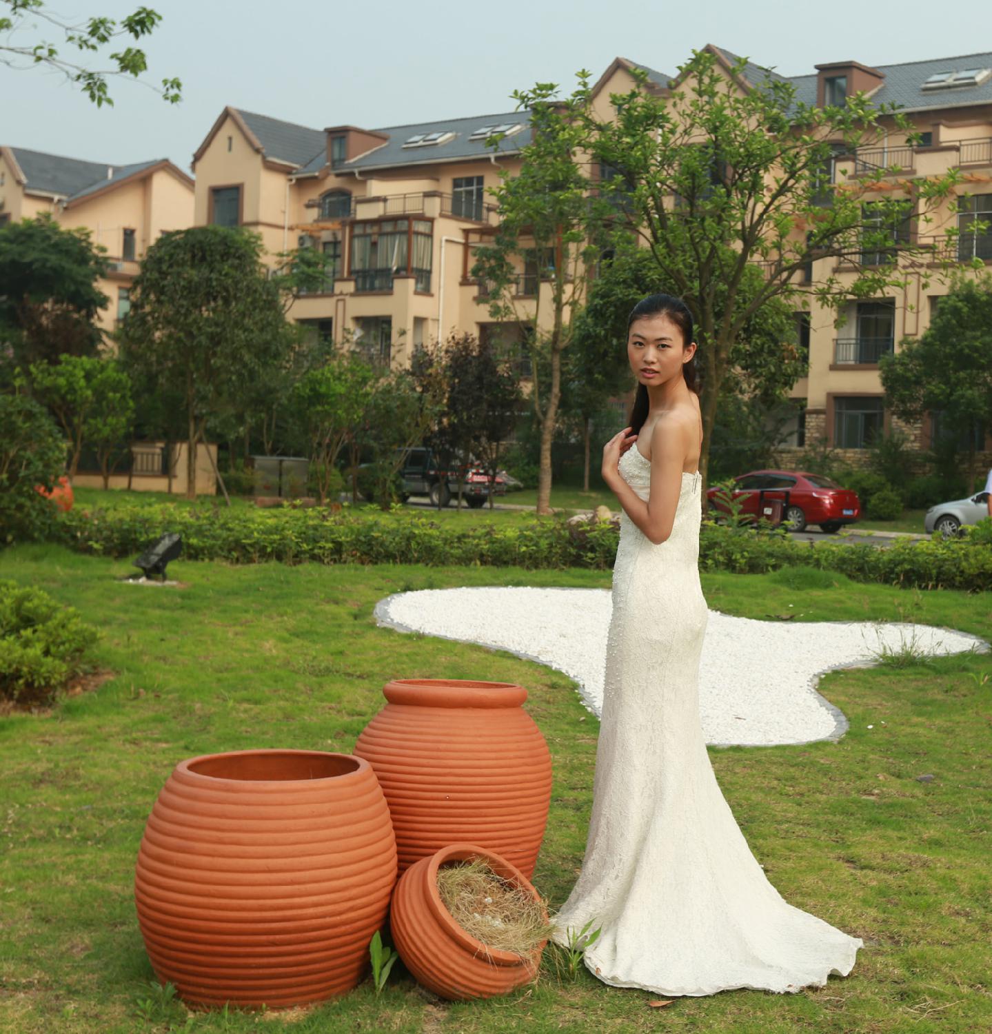杨柳细腰1