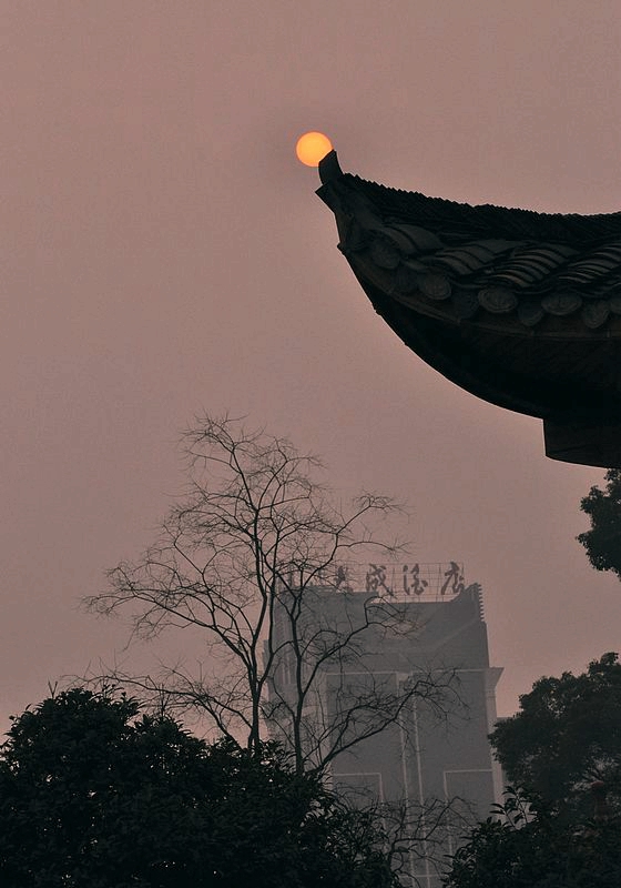 晨