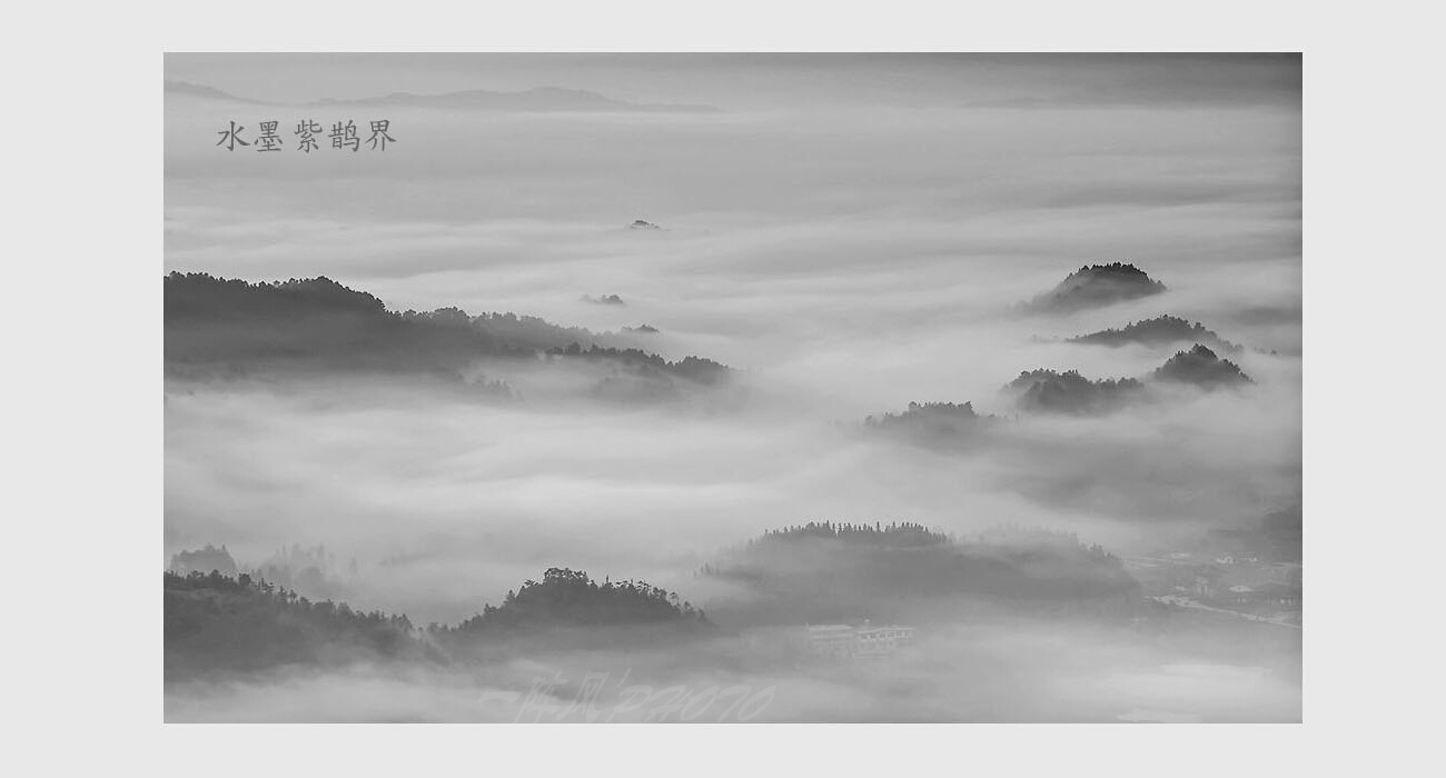 水墨紫鹊界