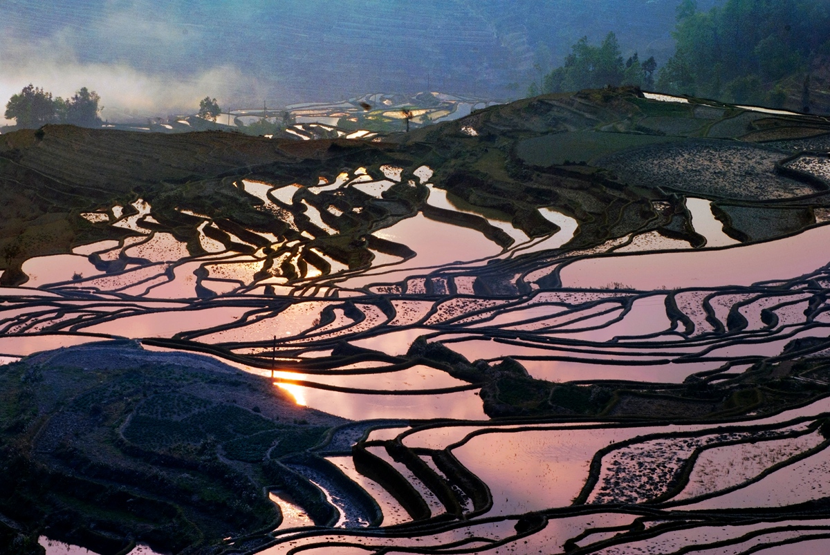 元阳梯田2