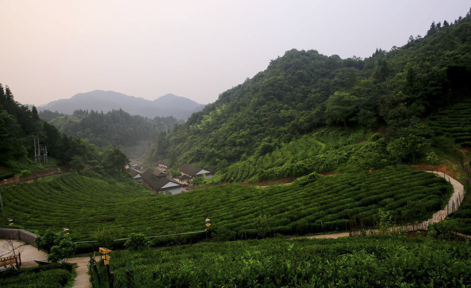 袁家界茶厂