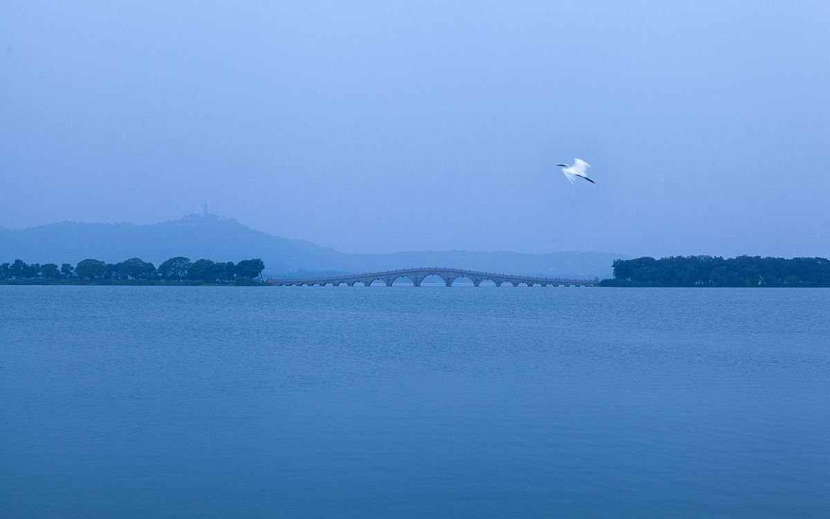 湖滨晨鹭