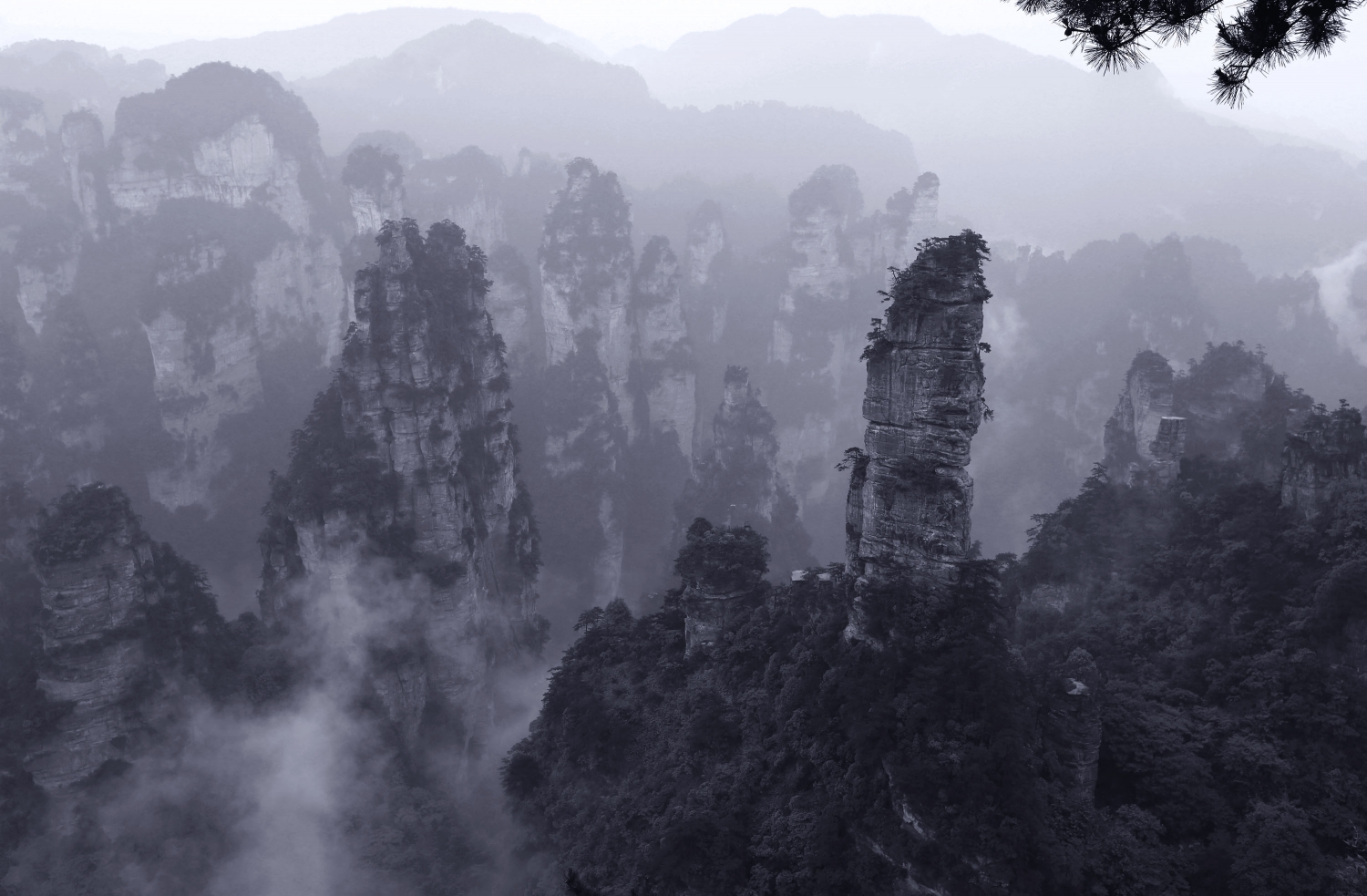 云游天子山