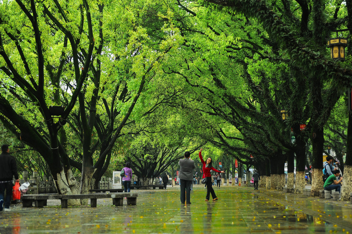 雨后开怀
