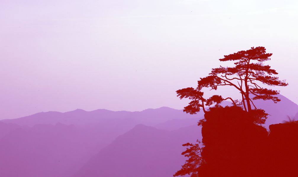 独揽晨曦3