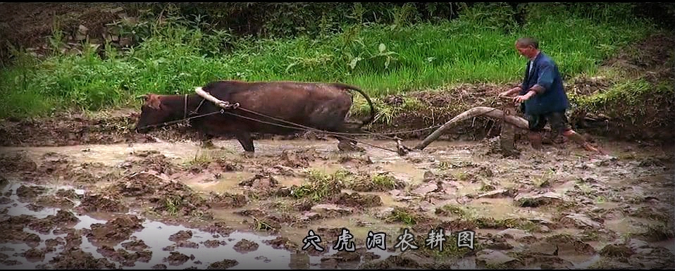 穴虎洞农耕图