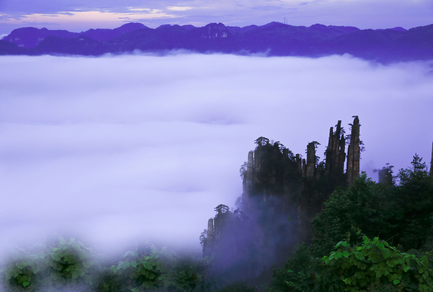 天子山风光