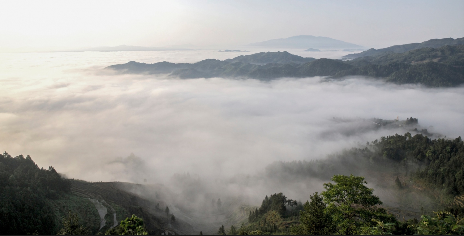 紫鹊界云海4