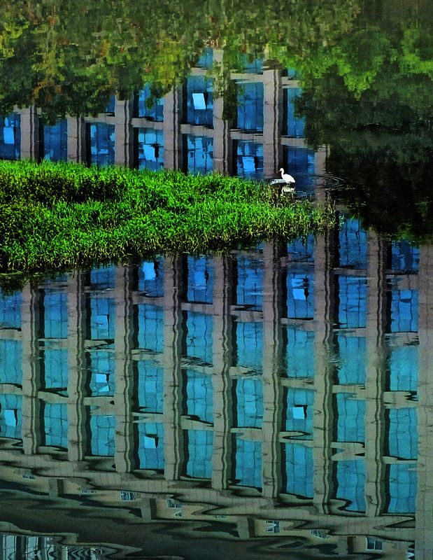 生存空间