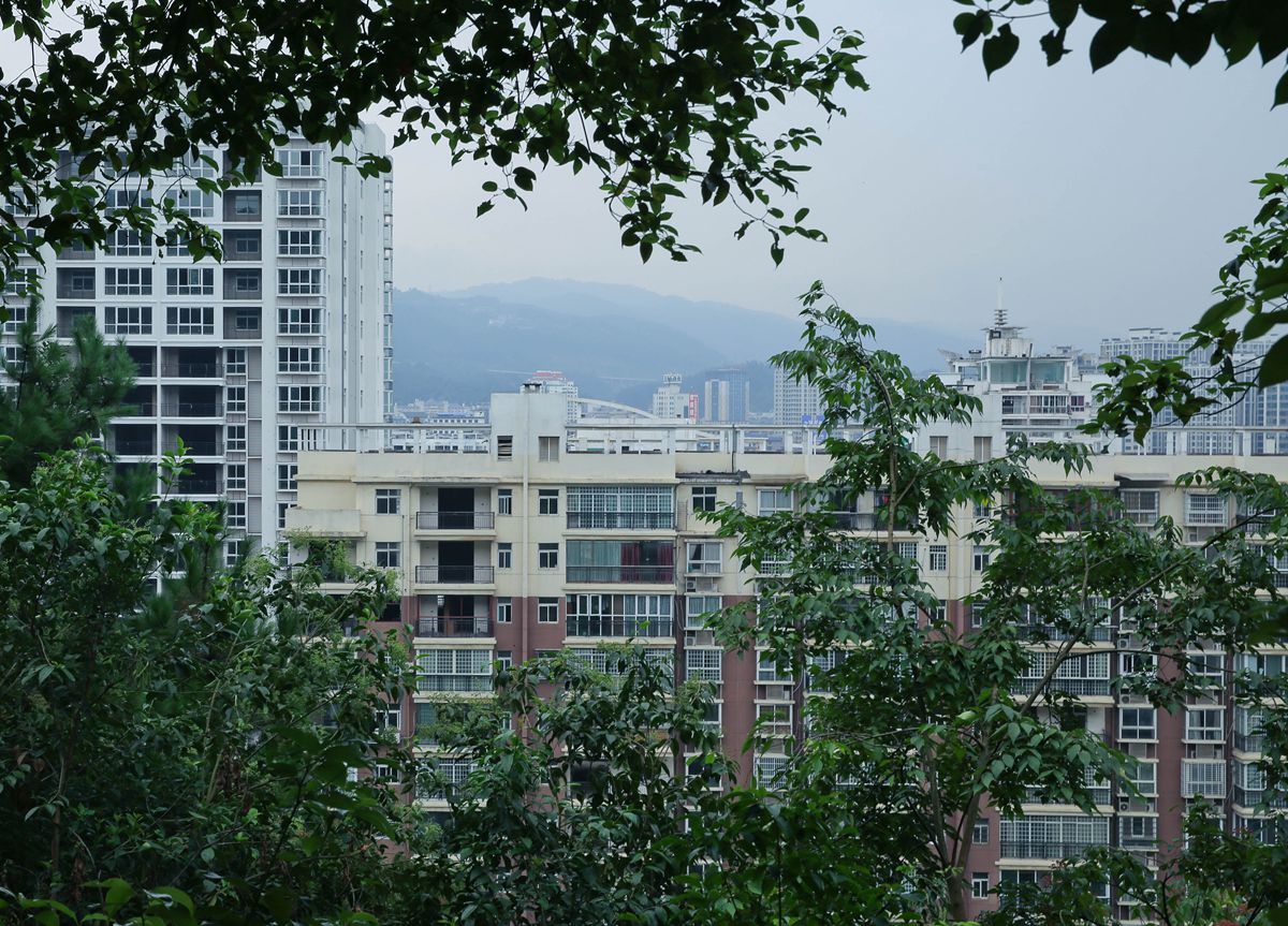 美丽的新家园3