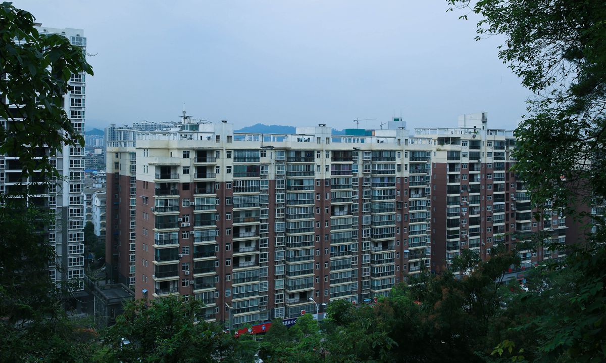 美丽的新家园2